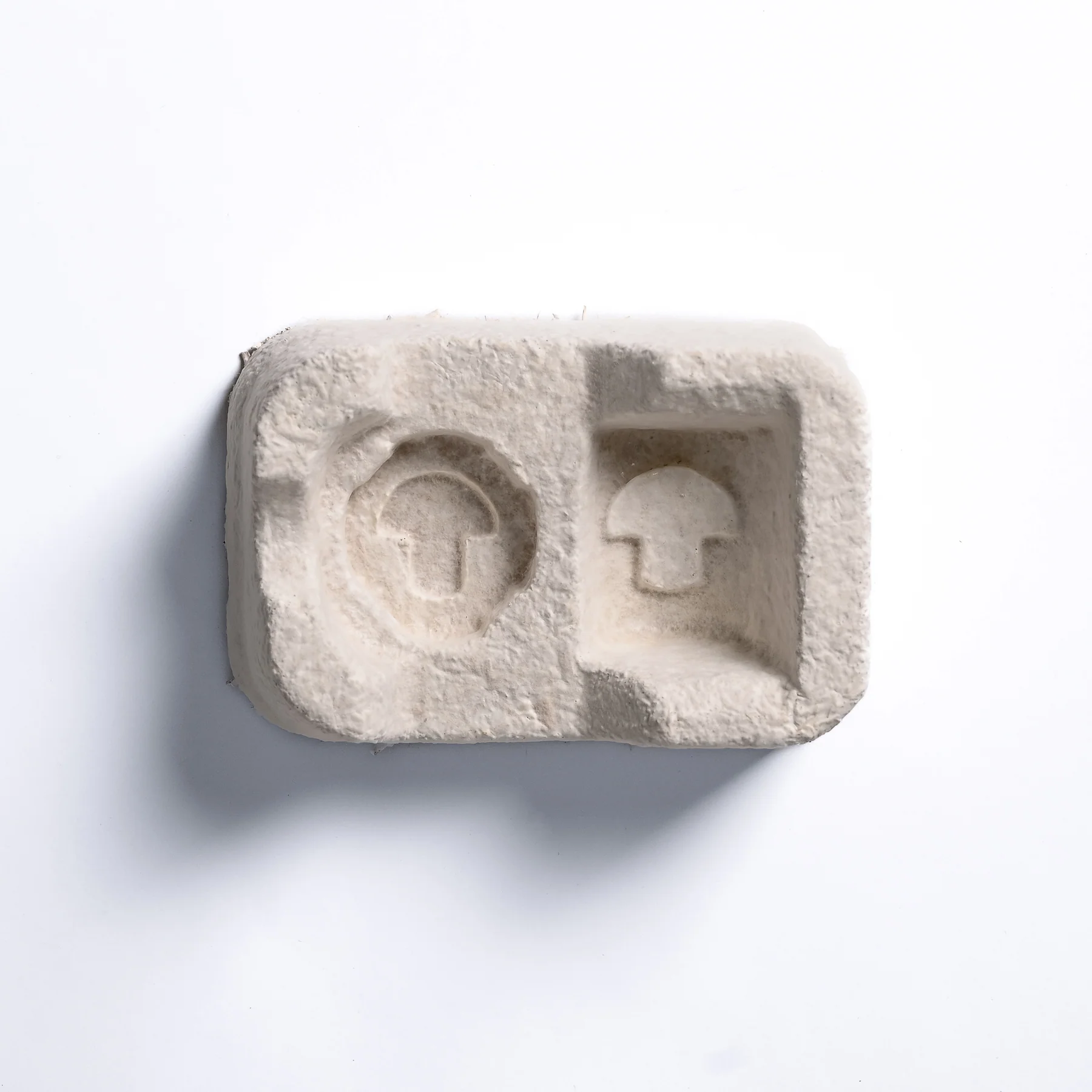 8. Mushroom Packaging